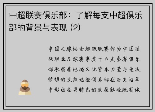 中超联赛俱乐部：了解每支中超俱乐部的背景与表现 (2)